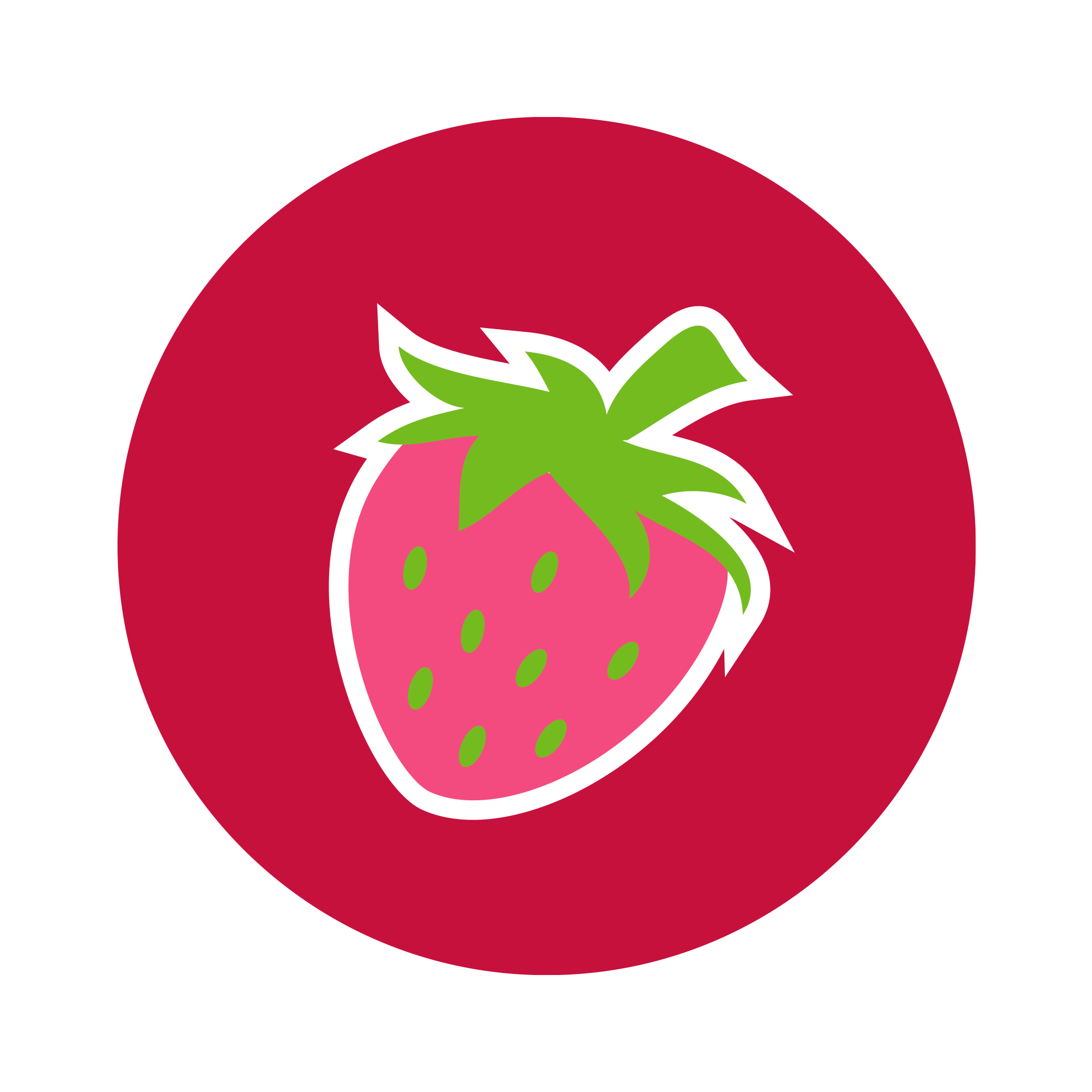 BUILD-A-BEAR corescents strawberry disc