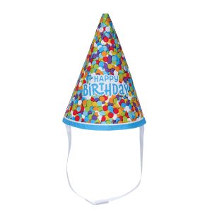 BUILD-A-BEAR BIRHTDAY accessories party hat