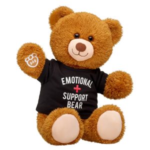 BUILD-A-BEAR Vaatteet T-paita Emotional support bear
