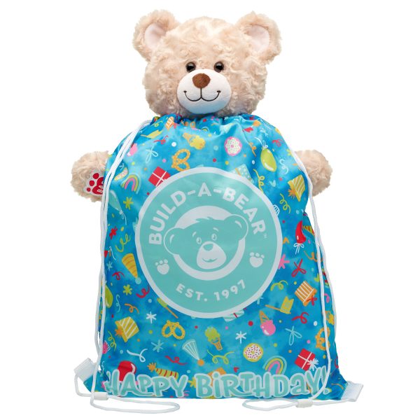 BUILD-A-BEAR BIRTHDAY bear carrier - Image 2