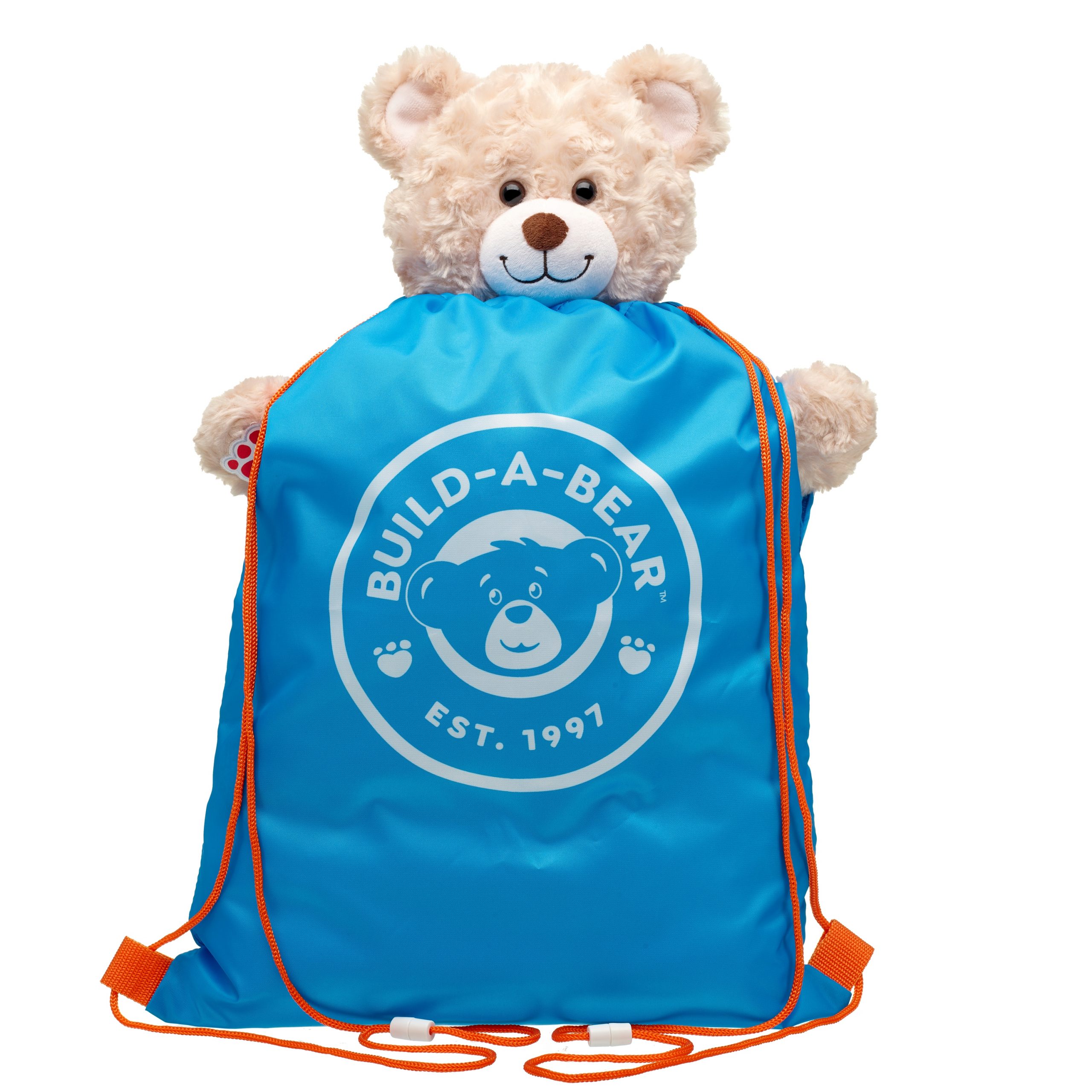 BUILD-A-BEAR bear carrier blue - Image 2