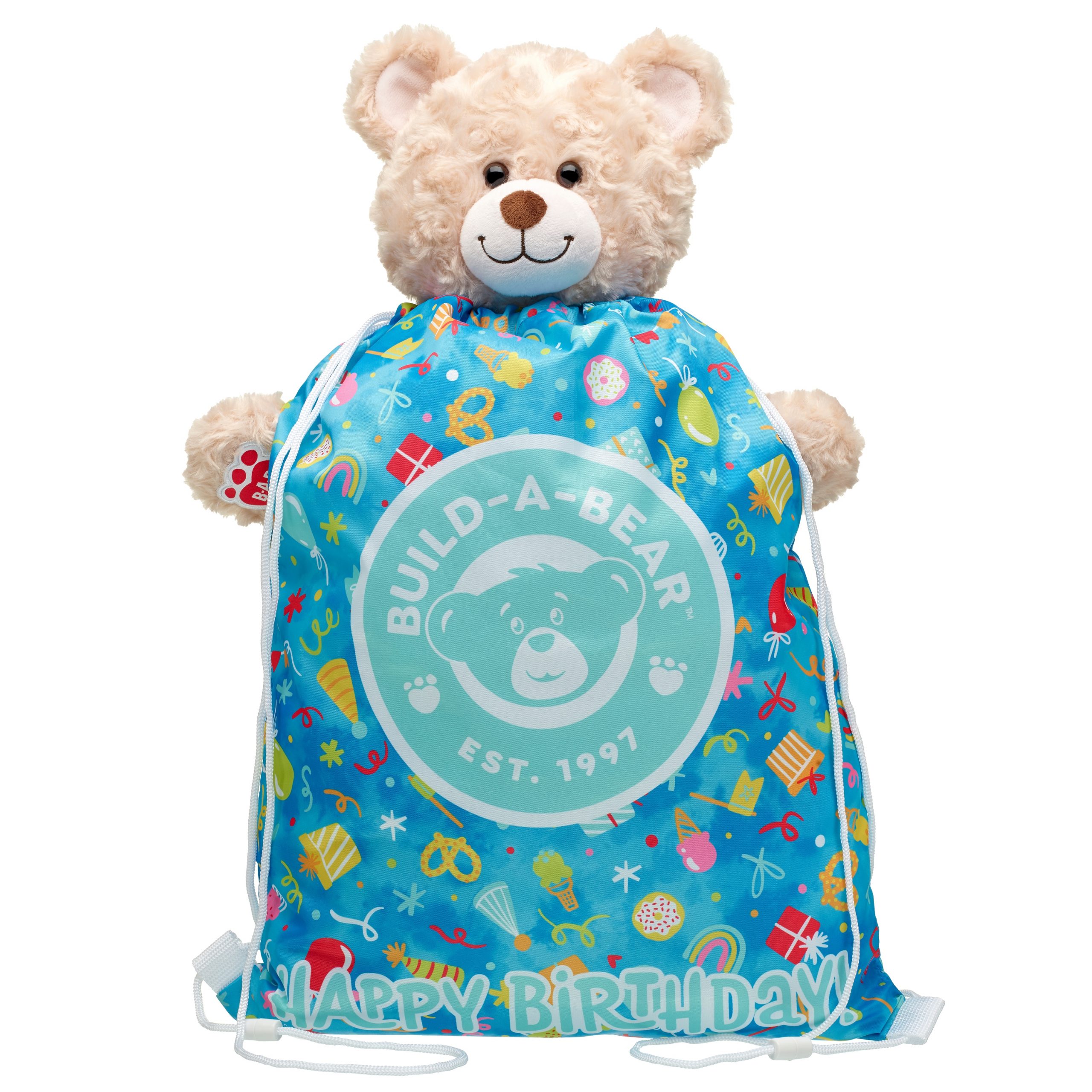 BUILD-A-BEAR BIRTHDAY bear carrier - Image 2