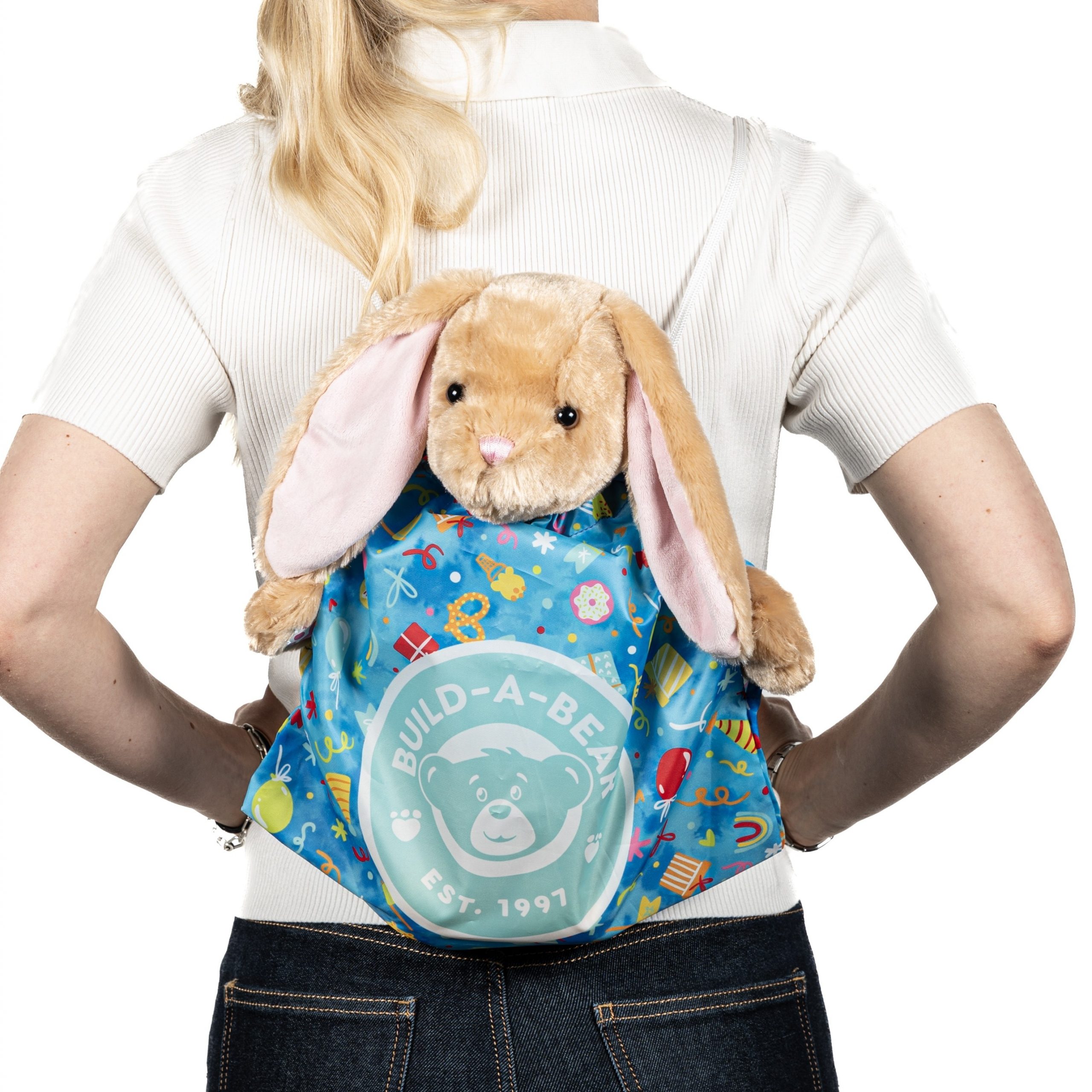 BUILD-A-BEAR BIRTHDAY bear carrier - Image 3