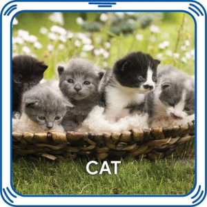 BUILD-A-BEAR Äänikiekko, kissa