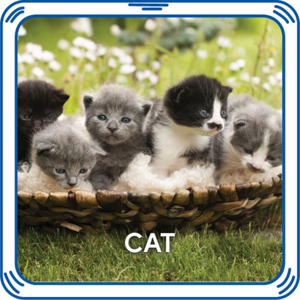 BUILD-A-BEAR Äänikiekko, kissa